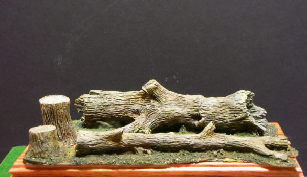 Tronchi albero caduti & spezzati