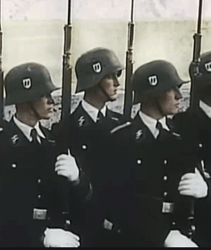 Leibstandarte SS Officer with banner