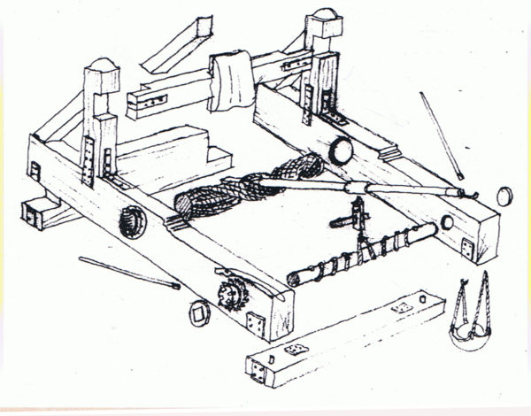 Onagro Romano circa III° sec. - immagine 2