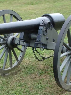 Cannone Parrot