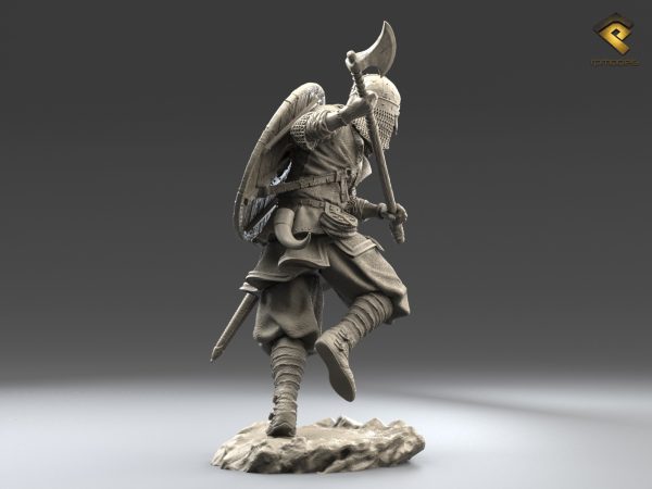 Viking - immagine 2
